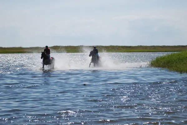 二人の男が馬に乗り 川に止まって — ストック写真