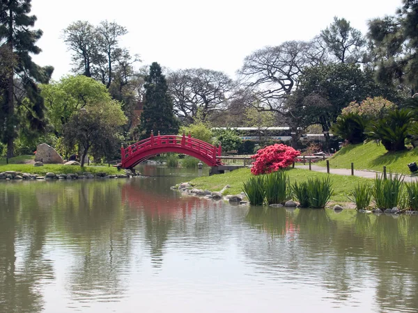 阿根廷布宜诺斯艾利斯市的日本花园 — 图库照片