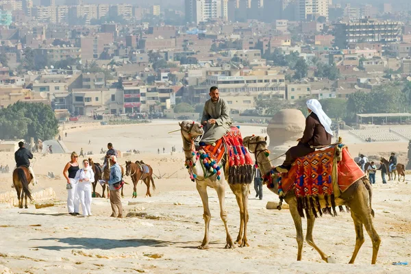 骑骆驼在沙漠 — 图库照片