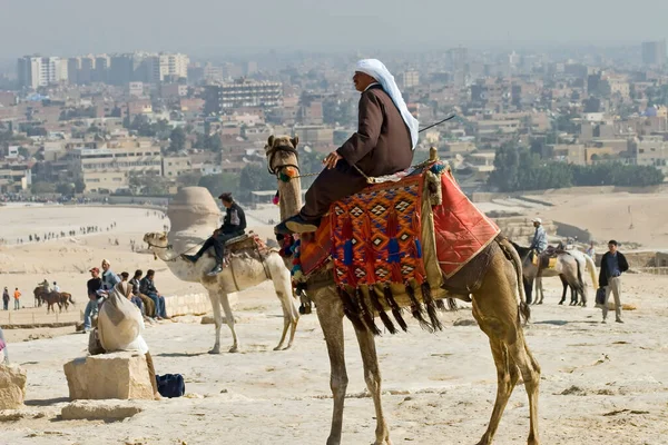 Paseo Camello Desierto —  Fotos de Stock