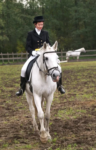 若い女性の白い馬に乗って — ストック写真