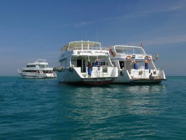 White yachts at sea, Egypt