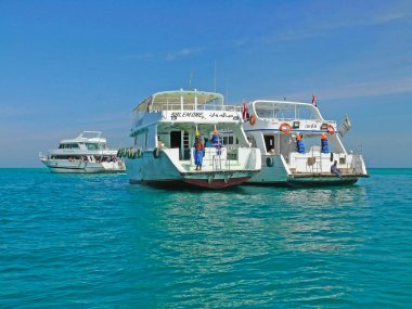 Gündüz vakti denizde beyaz yatlar