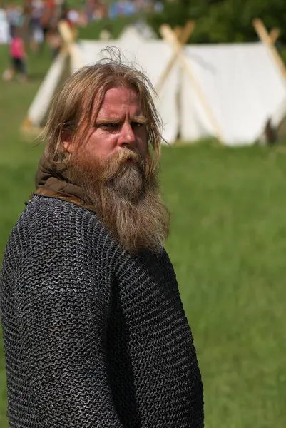 Portrait Man Wearing Viking Costume Stock Picture
