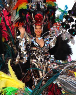 Santa Cruz de Tenerife Karnavalı