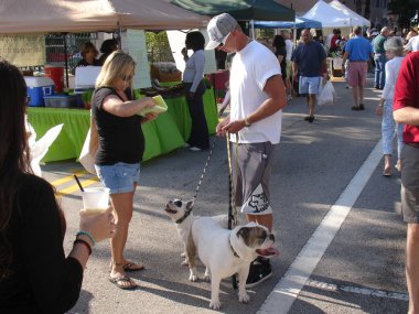 Palm Beach, Florida, ABD 'nin şehir alanı genel görünümü