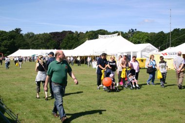 Crowded summer park, daytime view 