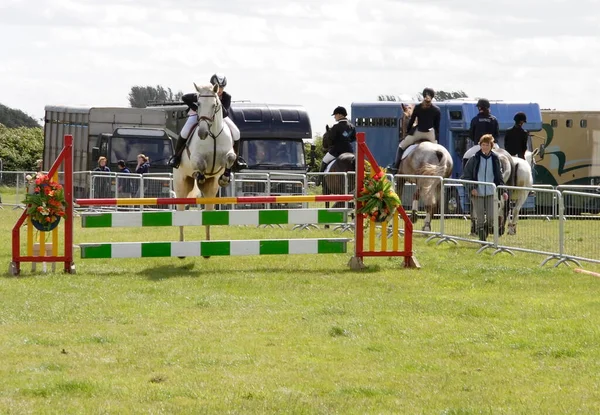 Horse Jumping County Show — Stock Photo, Image