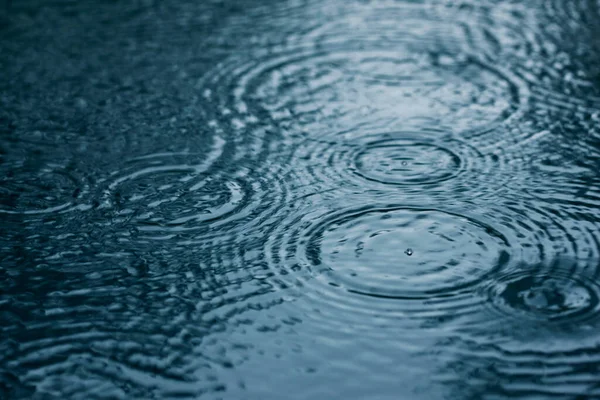 Regendruppels Wateroppervlak — Stockfoto