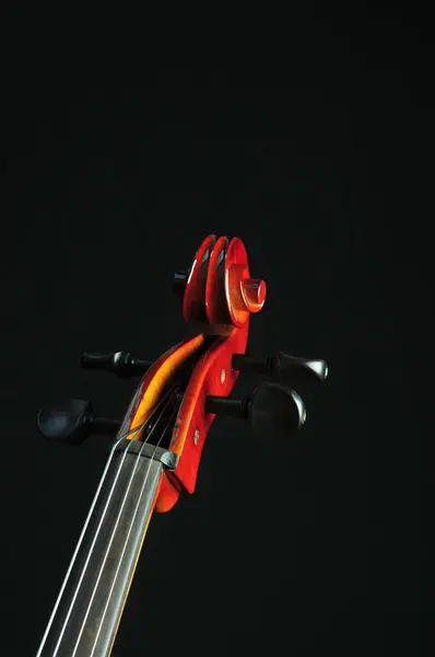Cello Neck Tuning Knobs — Stock Photo, Image