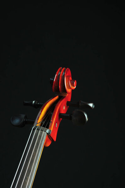 cello neck and tuning knobs