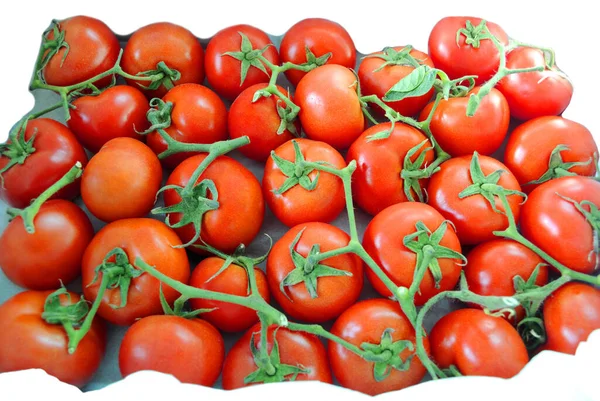 Vista Cerca Tomates Ecológicos Frescos Maduros —  Fotos de Stock