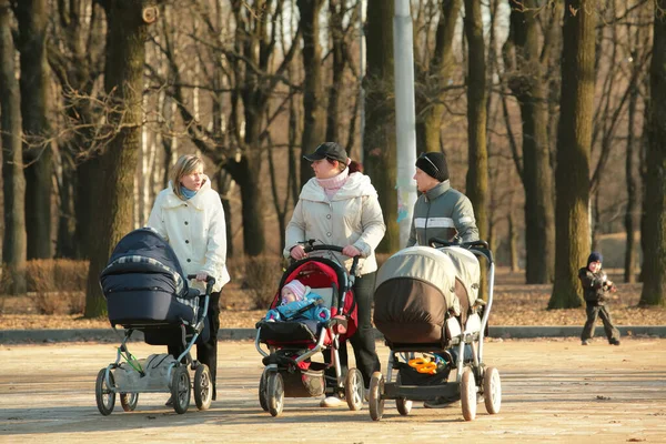 Jonge Moeder Wandelen Het Park Met Baby Kinderwagens — Stockfoto
