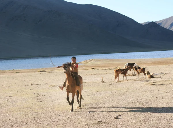 Boy Riding Horse Mongolia — Stockfoto
