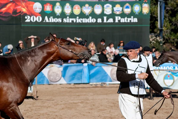 124博覧会家畜と農村アルゼンチン — ストック写真