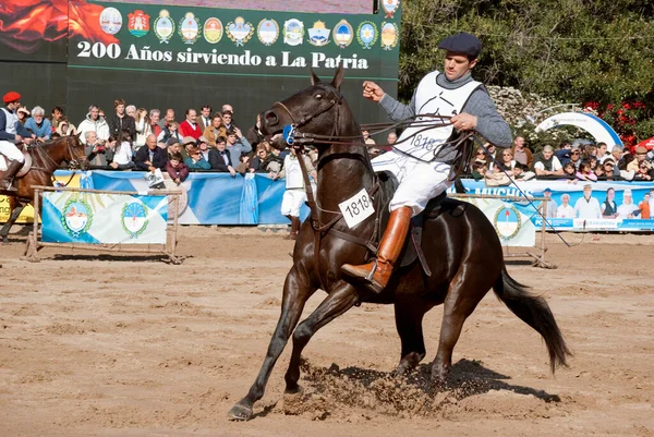 124阿根廷畜牧和农村博览会 — 图库照片
