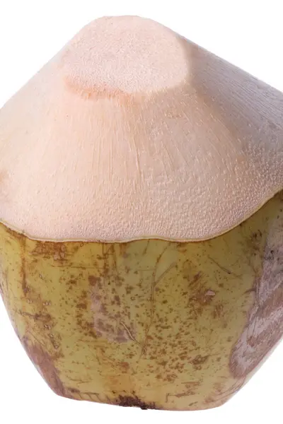 Kokos Isolerad Vit Bakgrund Nära Håll — Stockfoto