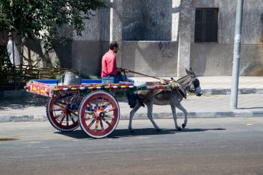 İskenderiye, Mısır şehir hayatı