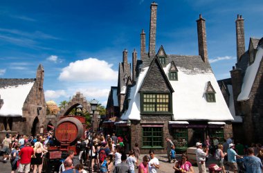 Harry Potter Büyücü Dünyası