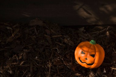 Karanlık arka planda Cadılar Bayramı Balkabağı, kapat