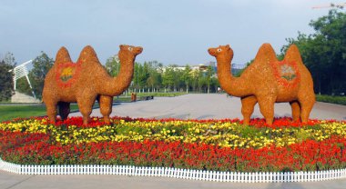 Parkta sarı kil deve