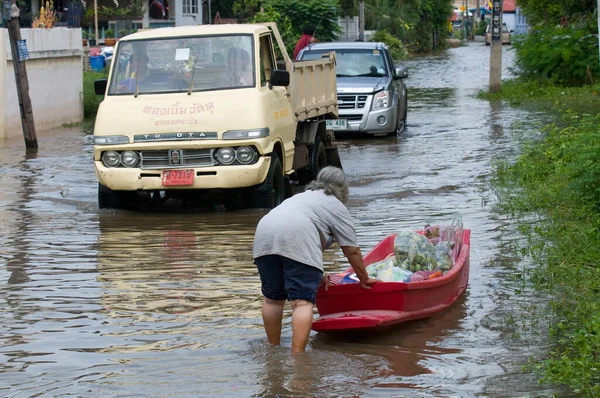 Monsoon Season Ayuttaya Thailand 2011 — Stockfoto