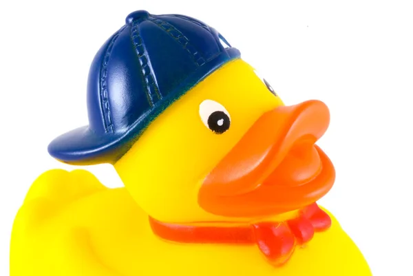 Funny Rubber Duck White Background — Stock Photo, Image