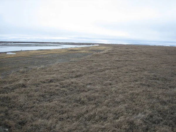 Scenic Shot Arctic Landscape — Zdjęcie stockowe