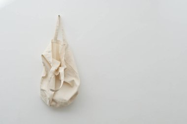 Beyaz duvarda tuval var.