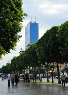 Tunus 'taki şehir parkı manzarası 