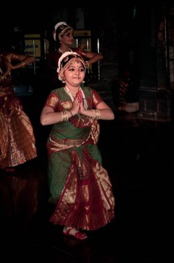 Bharatanatyam performansı. Hint klasik dans formu Tamil Nadu kökenlidir.