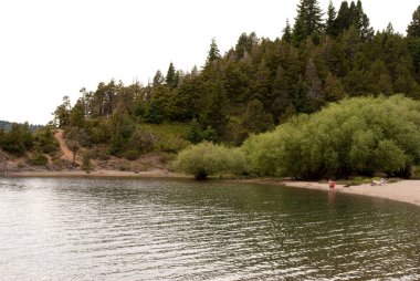Nahuel Gölü Huapi Gölü ve yeşil ağaçlar 