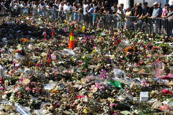 Çiçek Denizi manzarası