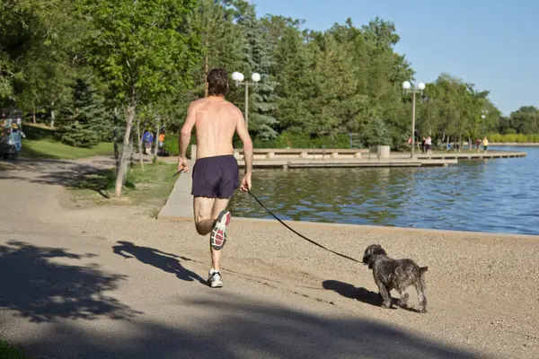 Homem Correndo Com Seu Cão Parque Verão — Fotografia de Stock