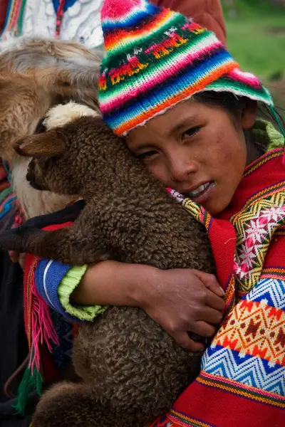 Peruwiańska Dziewczyna Dzieciak Lamy — Zdjęcie stockowe