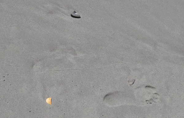 Footstep Sand Sea Beach — Fotografia de Stock