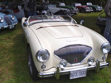Sergide klasik Austin Healy. 