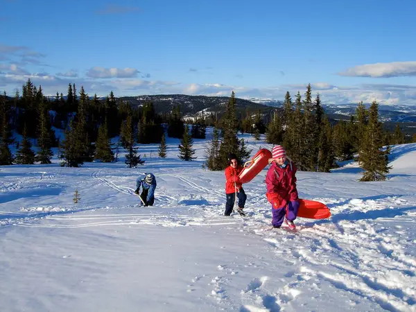 スカンジナビアライフスタイル 冬にスキーをする子供たち — ストック写真
