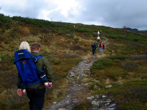 Скандинав Лион Люди Совершающие Пешие Прогулки Горам — стоковое фото