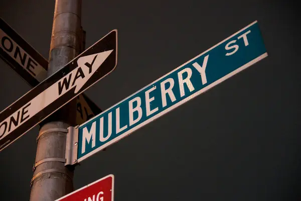 Mulberry Street Sign Close — стоковое фото