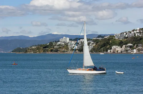 Segling Wellington Nya Zeeland — Stockfoto