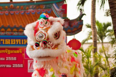 BANGKOK, / THAILAND-JANUARY 20: Çin Yeni Yıl kutlamaları sırasında 20 Ocak 2013 'te BANGKOK' ta aslan dansı kıyafeti