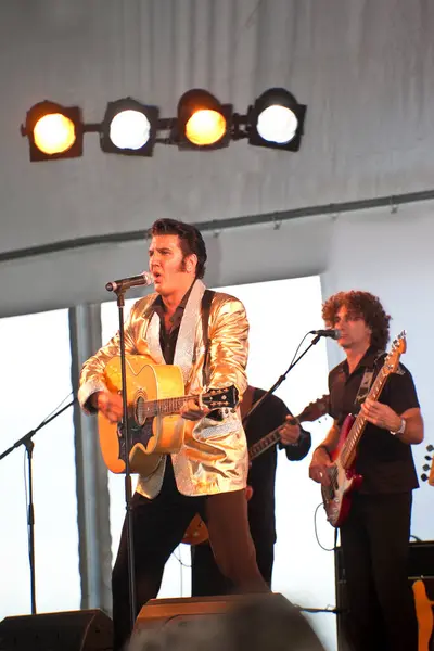 Elvis View Guitarist Performing — Stock Photo, Image