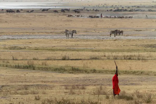 Maasai Lifts Arm Middle Ngorongoro — Stock Photo, Image