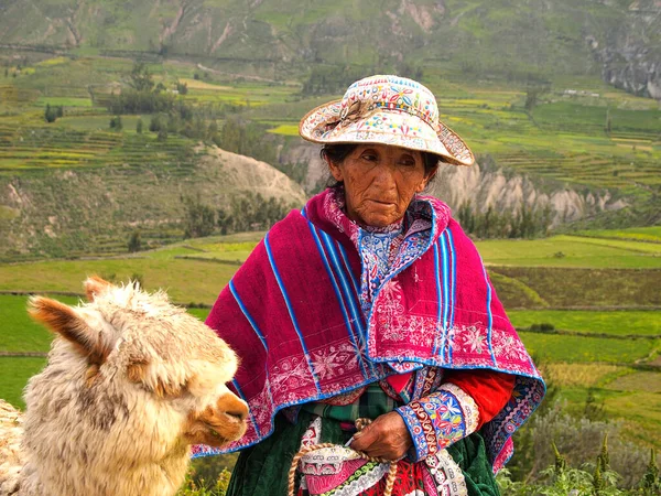 Stará Peruánská Žena Její Alpaka — Stock fotografie