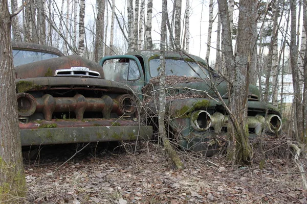 カー墓地の古い錆びた車 — ストック写真