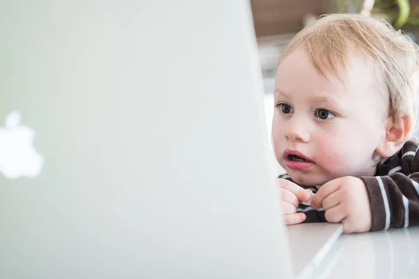 Little Boy Laptop White Background — Stock Photo, Image