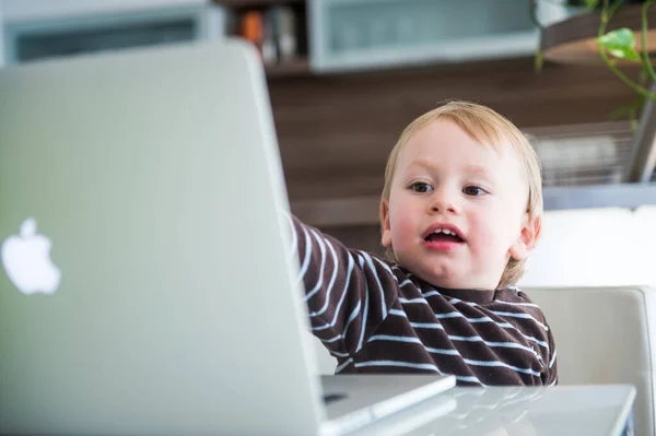 Little Boy Laptop White Background — Stock Photo, Image