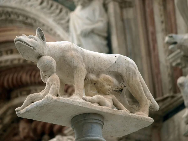 Siena Columna Con Loba Frente Fachada Del Duomo —  Fotos de Stock