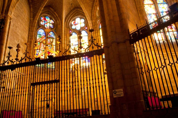 Interiorul Catedralei Leon — Fotografie, imagine de stoc